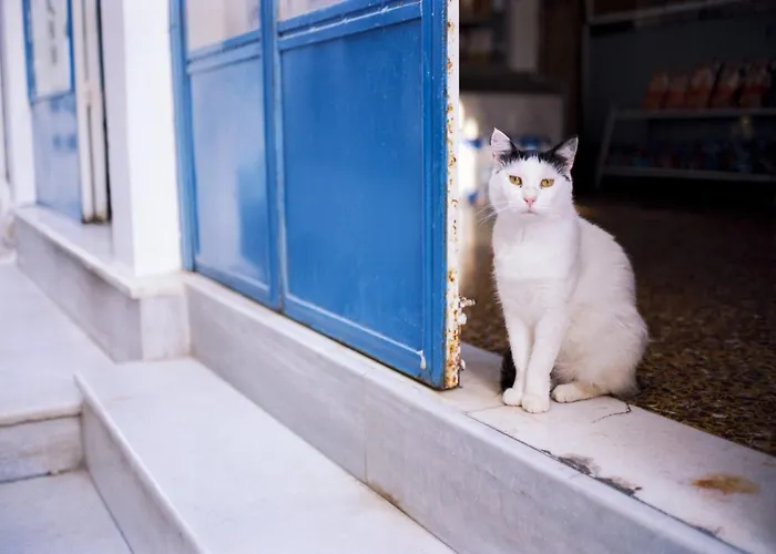 ヴィラ Wonderful Santorini House Mezzo Honeymoon Private Pool Sea Views イア